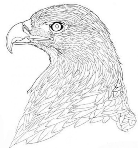 Рисунки для выжигания сложные