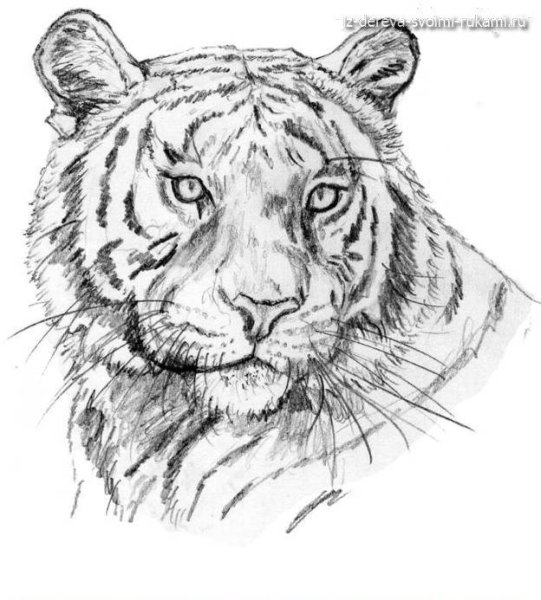 Эскизы для выжигания сложные