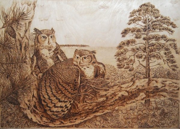 Трафарет Совы для выжигания по дереву