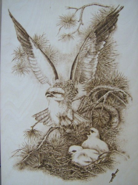 Парусник раскраска