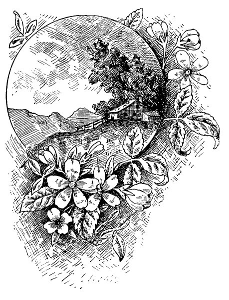 Графика для выжигания по дереву