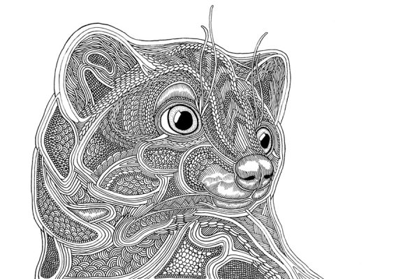 Волк черной ручкой