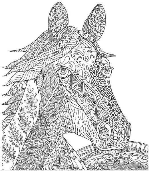 Зентангл лошадь