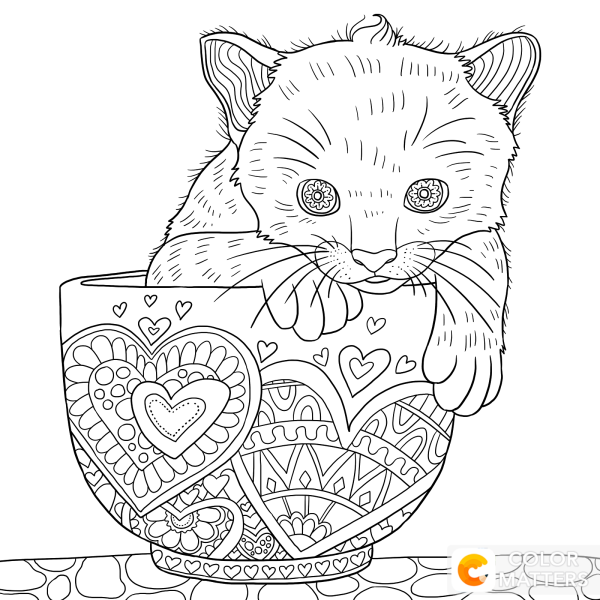 Раскраска антистресс котта