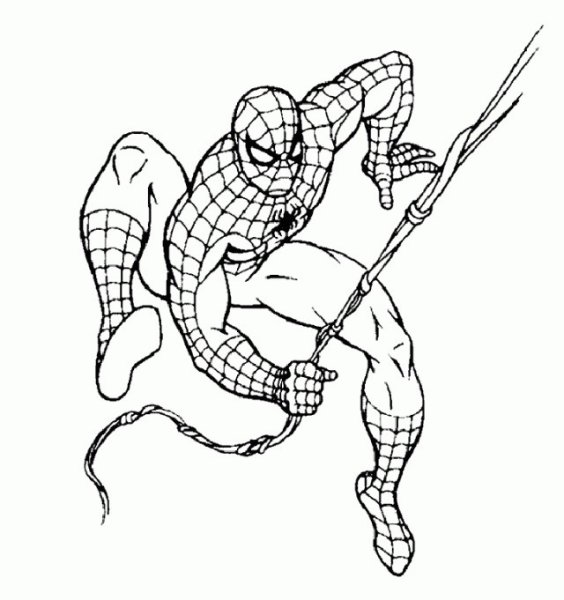 Раскраски для мальчиков человек паук