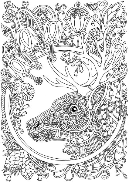 Раскраска антистресс