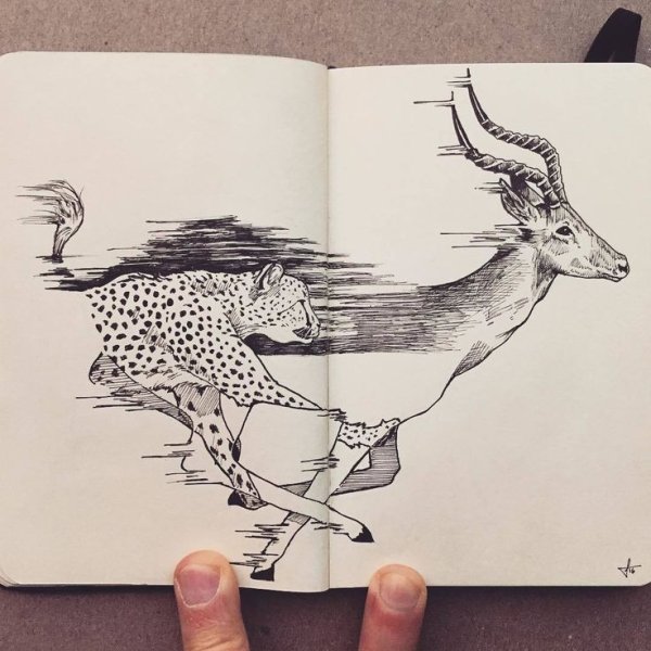 Оригинальные рисунки