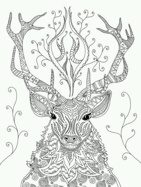 Раскраска антистресс