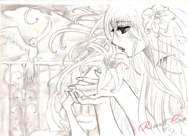 Аниме рисунки