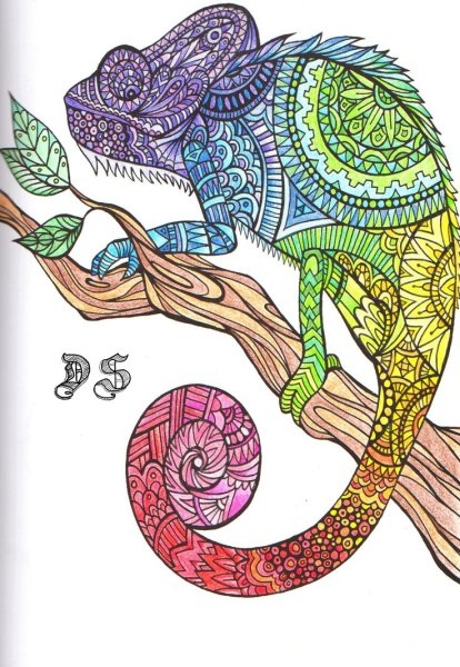 Антистресс животные в цвете