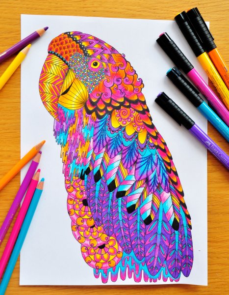 Раскраски антистресс цветные