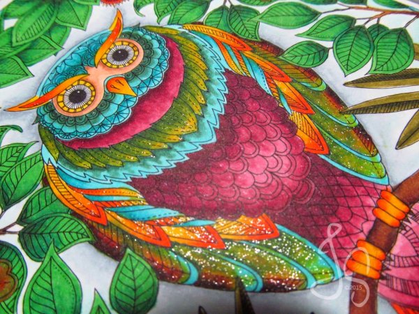 Раскрашивание цветными карандашами