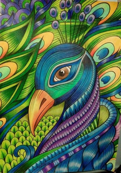 Графика цветными карандашами