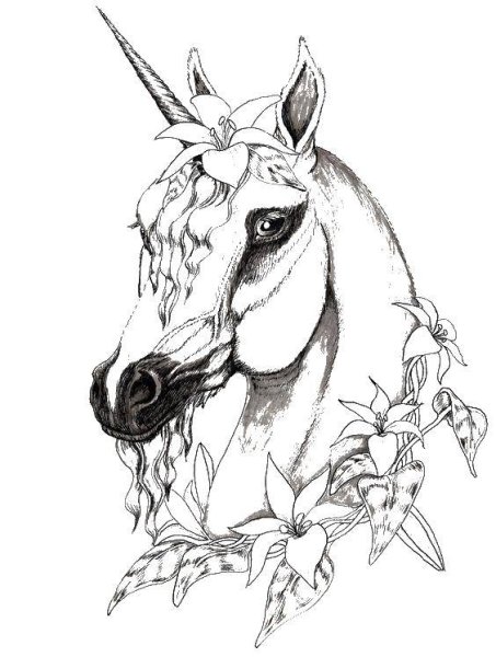 Единорог рисунок карандашом