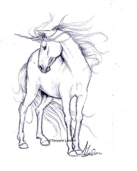 Единорог для рисования
