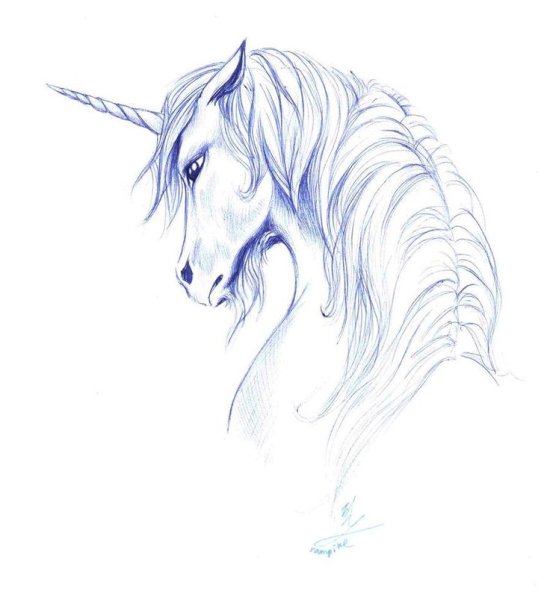 Единорог скетч