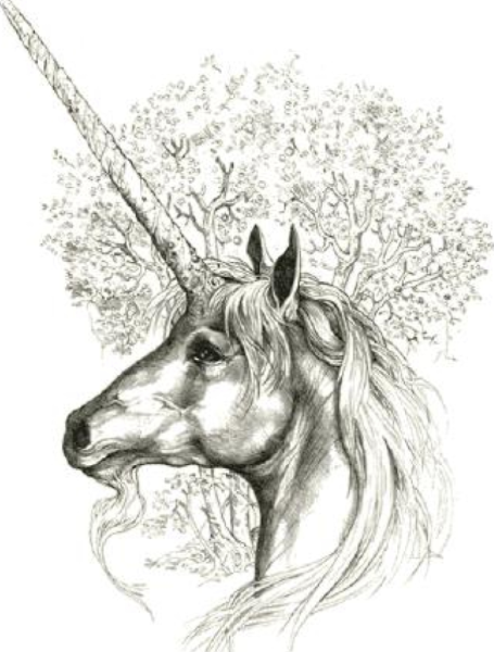 Колоринг Пегас