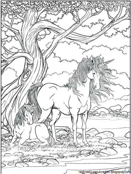 Единорог карандашом