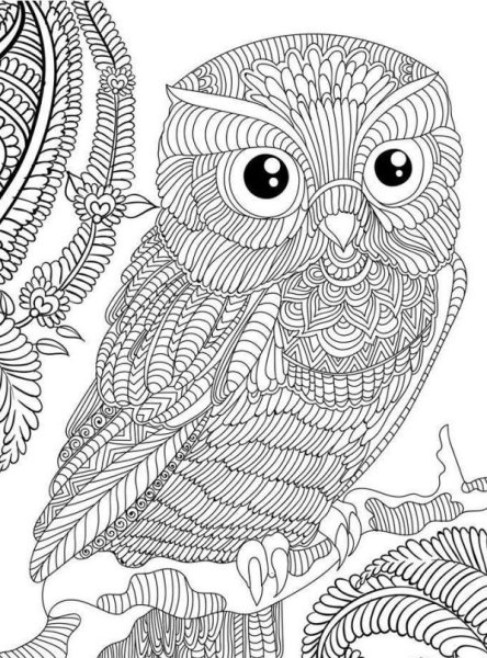 Раскраска антистресс