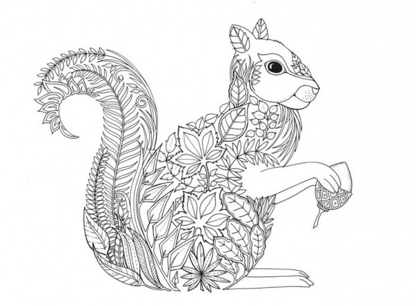 Раскраска антистресс