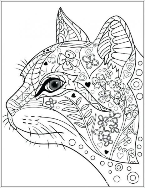 Раскраска антистресс