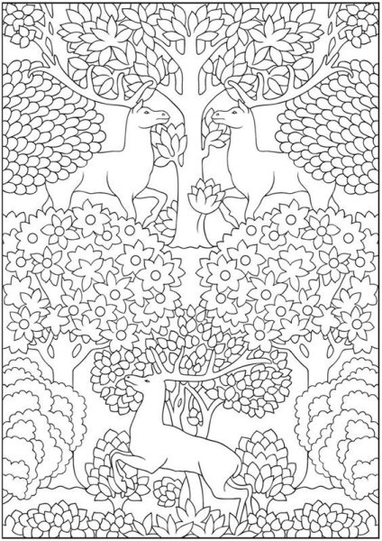 Раскраски сложные