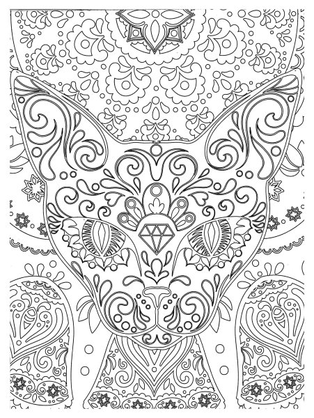 Раскраска антистресс