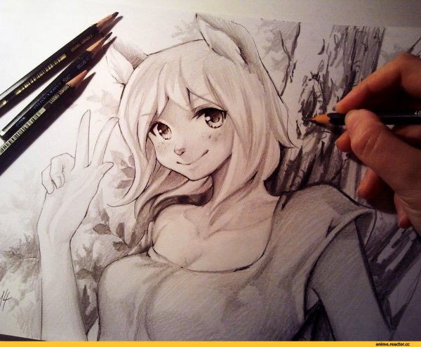 Аниме для срисовки