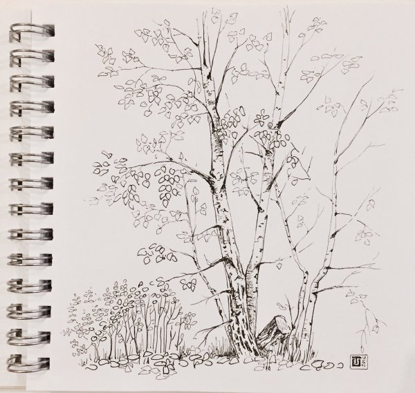 Осенний пейзаж скетч