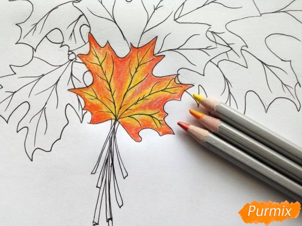 Букет листьев карандашом