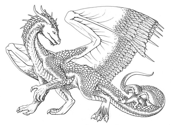 Раскраска дракон