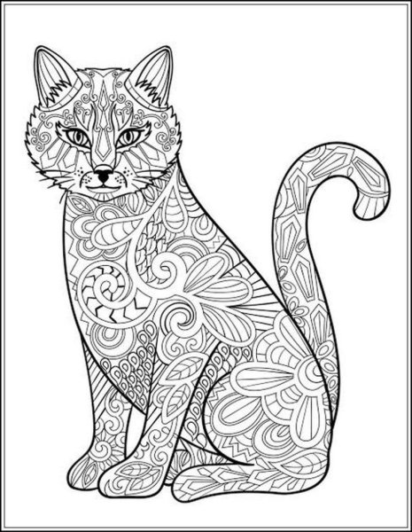 Кошка карандашом