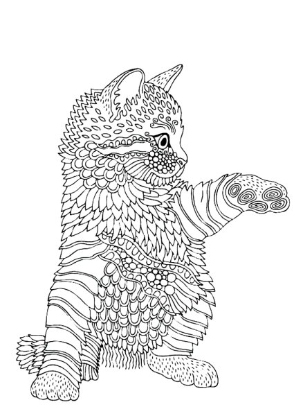 Рисунки животных карандашом