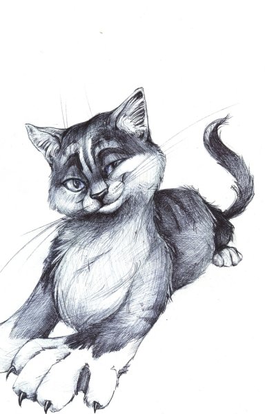 Раскраски котики сложные