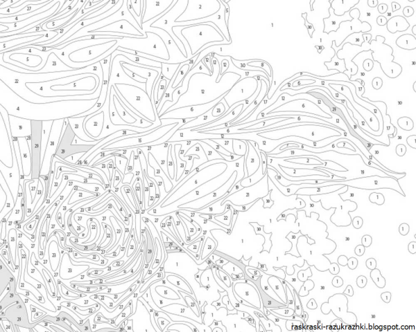 Раскраски по номерам сложные