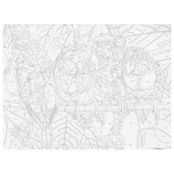 Картина по номерам раскраска