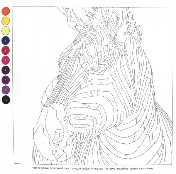 Картина разукрашивать по номерам