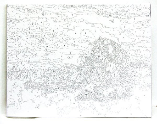 Рисование по номерам для взрослых