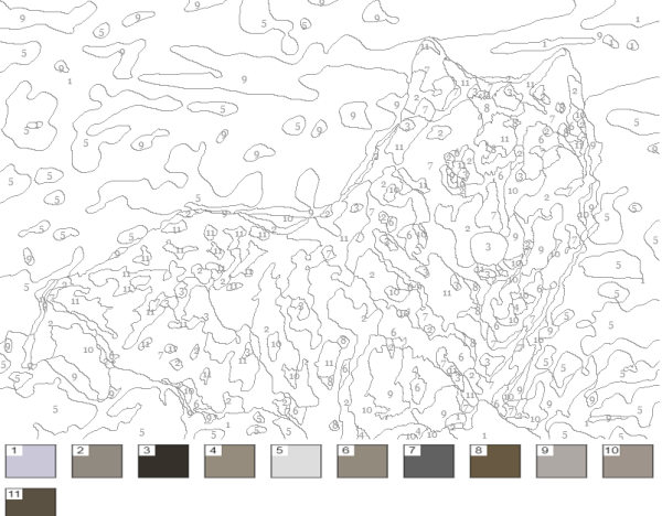 Рисование по номерам для взрослых