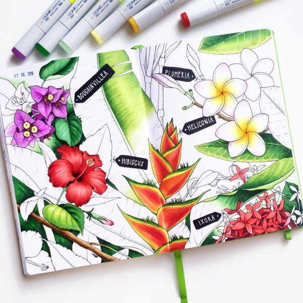 Рисование маркерами для скетчинга