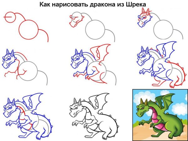 Пошаговый рисунок кошки для начинающих