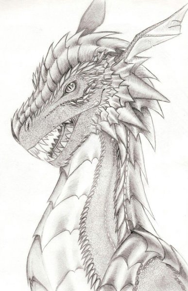 Дракон карандашом