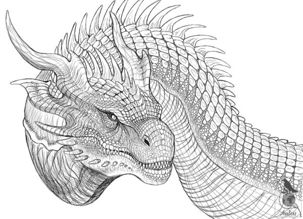 Дракон линейный