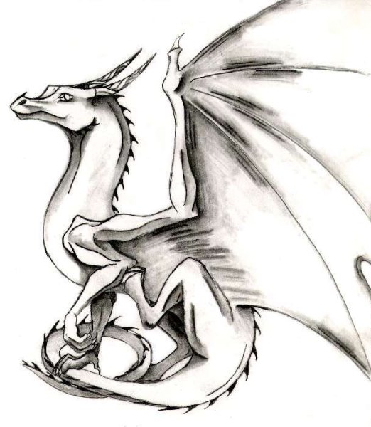Дракон рисунок карандашом для срисовки