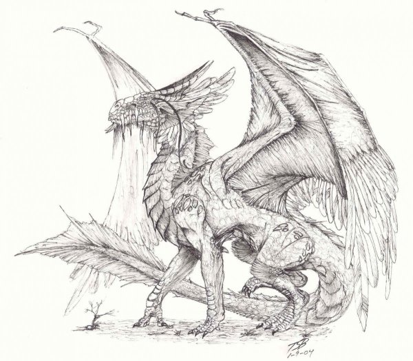 Дракон набросок