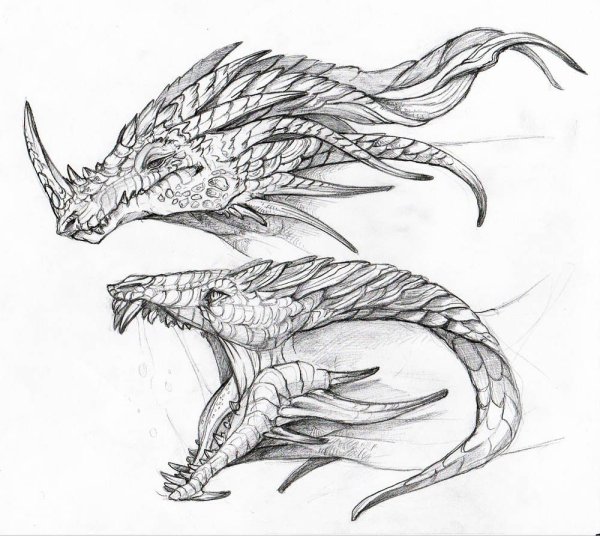 Дракон для рисования