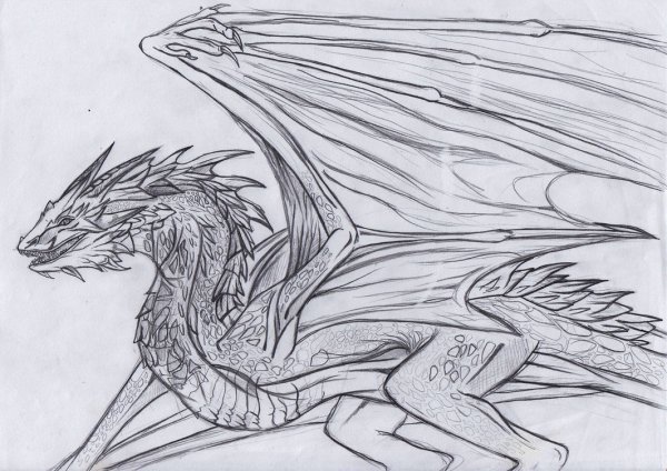 Дракон тату эскиз