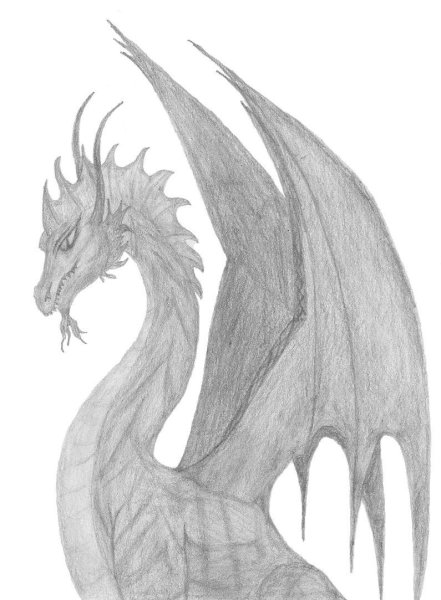 Рисунок дракона для срисовки легкие