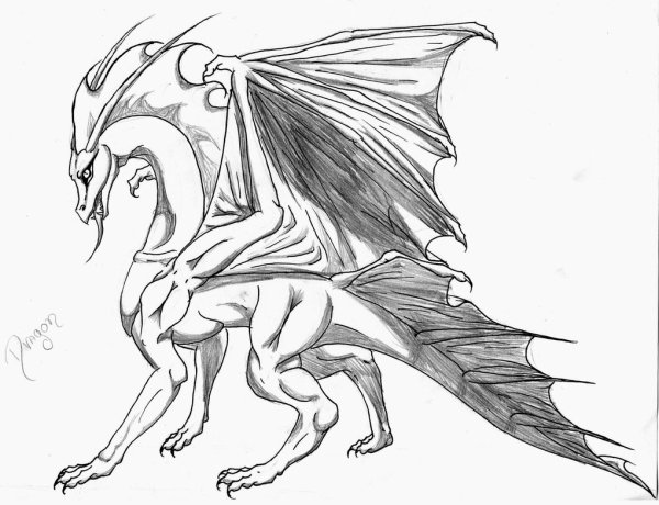 Голова дракона карандашом