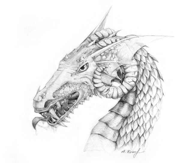 Дракон рисунок карандашом